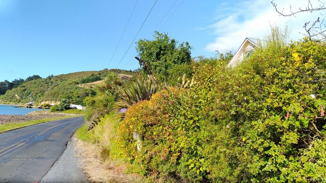 是相依還是相愛　移民的人都有成串的故事