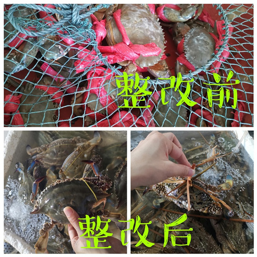 為螃蟹“鬆綁減負” 福建廈門專項整治水產品稱重“潛規則”