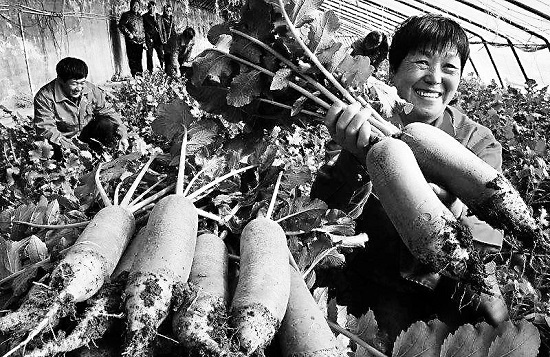 善心助農 融力抗疫 建設銀行善融商務電商平台积極助力農業復產保障供應服務民生