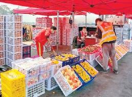 新發地“上新”蔬菜供應恢復往年水平