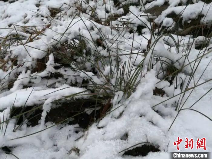 黑龍江迎來今秋首場降雪