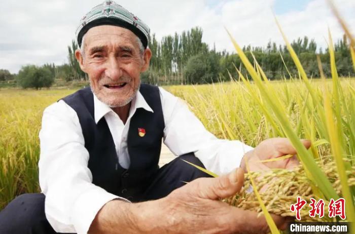 新疆喀什：南疆變“江南” 美麗鄉村助民增收