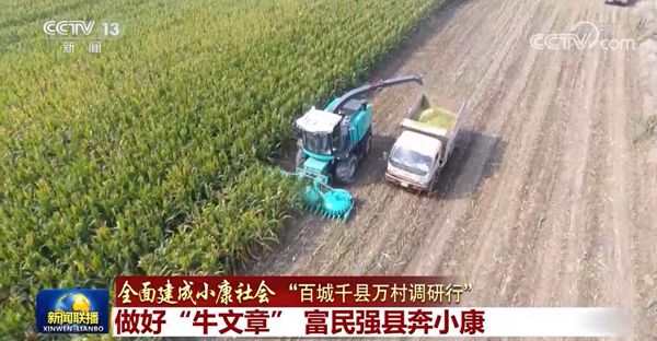 【全面建成小康社會“百城千縣萬村調研行”】做好“牛文章” 富民強縣奔小康