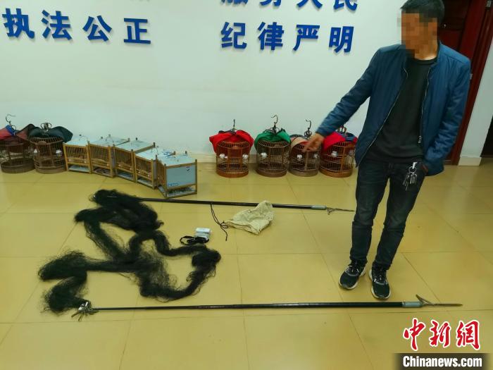 四川平武：非法獵捕收購野生畫眉鳥 7人被判刑