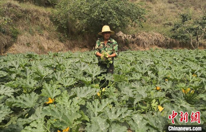 蘭州城郊村“有品有味” 因地制宜發展“造血”雙產業