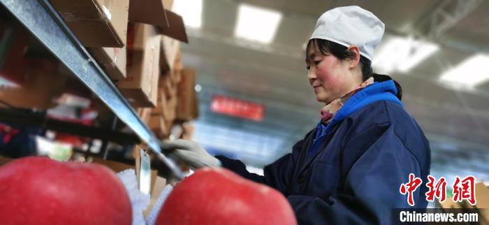 甘肅平涼強練內功補“減貧課” 巧借外力不再“差一點”