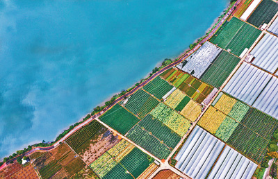 穩住菜園子 保障菜籃子_新竹葬儀社