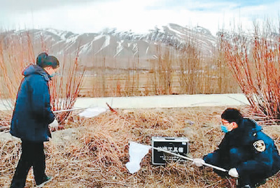 防治沙漠蝗 中國緊鑼密鼓_防盜設備,電子防盜門,防盜扣