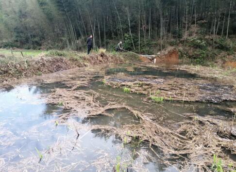 化解鄰里四年土地糾紛 引導村民积極向上向善_結婚黃金出租