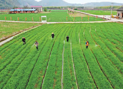 春耕生產 有序開展_台南熱泵