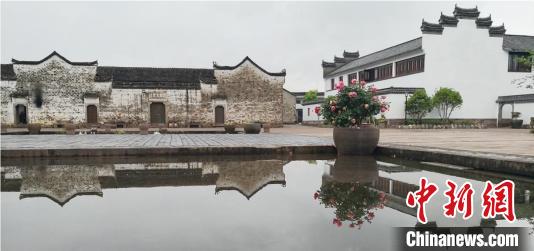 浙江埠頭古村“美顏” 村民：做夢都沒想到日子這麼快活_生薑洗髮乳,控油沐浴露