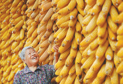 晒晒金秋好“豐”景_頭髮護理方法